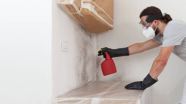 Professional Bathroom Mold Removal technician working in Verona, NJ