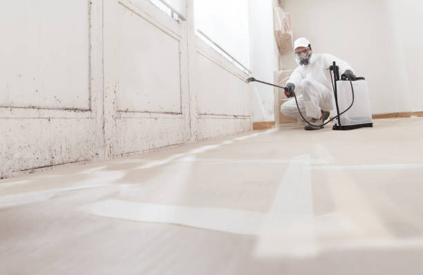 24/7 Emergency Bathroom Mold Removal experts in Verona, NJ